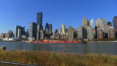 NYC_2012-11-17 11-11-12_P1070097